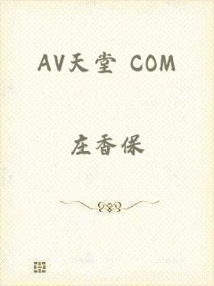 AV天堂 COM